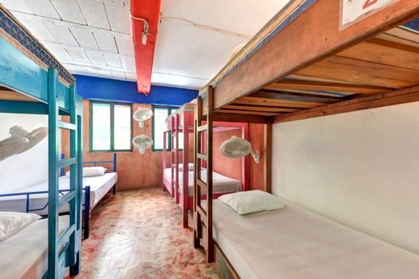 Hostel Playa Playa del Carmen Oda fotoğraf